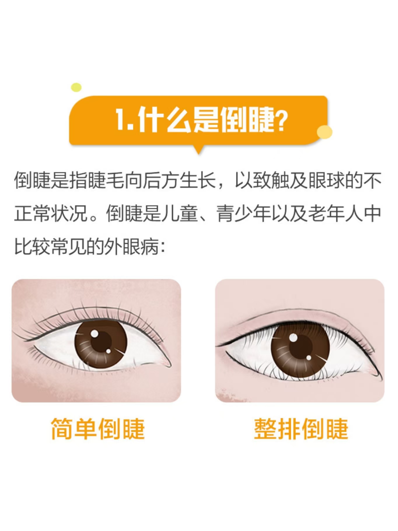 17d98a549249c8540c194db6d31a7ae5_05175f14ccbf855.jpg